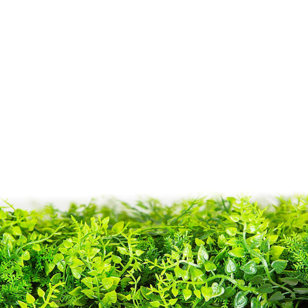 Dense Fern Artificial Green Wall 1m x 1m - UVTEX Certified UV Resistant - image 3