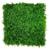 Luxury Dense Fern Vertical Garden Green Wall Panel 1m x 1m – SGS UV Resistant