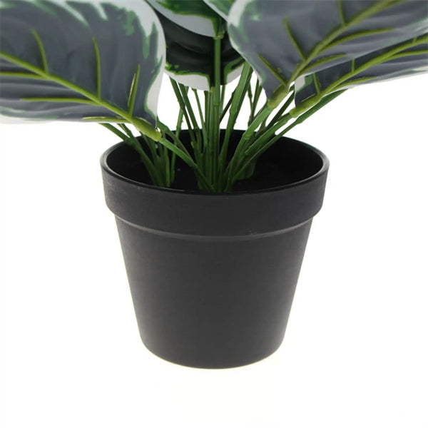 Dense Potted Artificial Calathea Plant 35cm - image 2