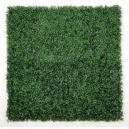 English Boxwood Artificial Hedge Panel 1m x 1m - UV Certified - image 1
