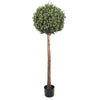 Faux Single Ball Artificial Topiary Tree 150cm UV Resistant - Designer Vertical Gardens artificial green wall sydney Artificial Shrubs and Small plants