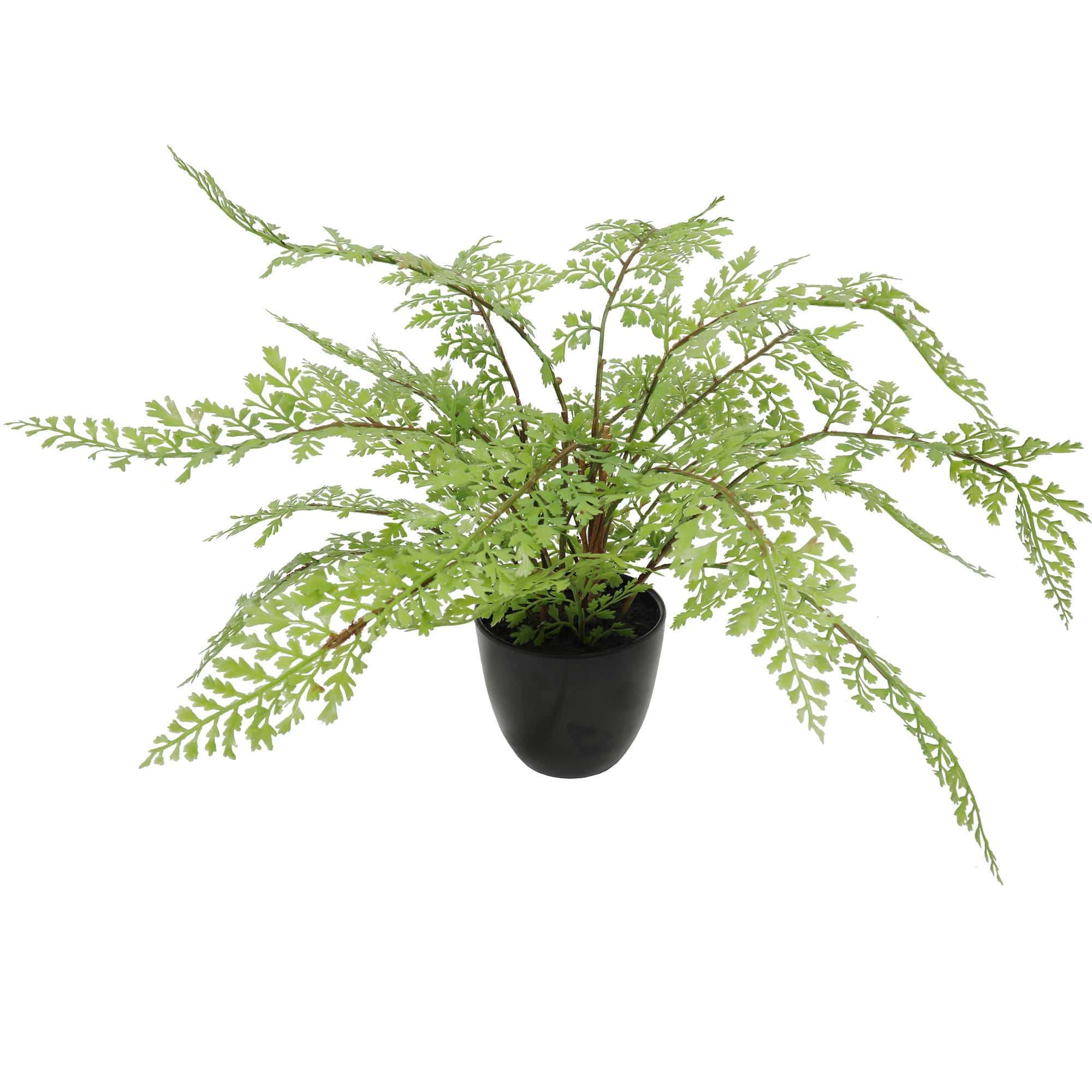 Faux Small Potted Fern 35cm - Designer Vertical Gardens artificial green wall sydney Artificial Shrubs and Small plants