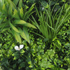 Flowering Modern White Artificial Green Wall Disc UV Resistant 75cm (Black Frame) - Designer Vertical Gardens