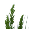 Flowering Native Grass 120cm - Designer Vertical Gardens artificial green wall sydney artificial vertical garden melbourne