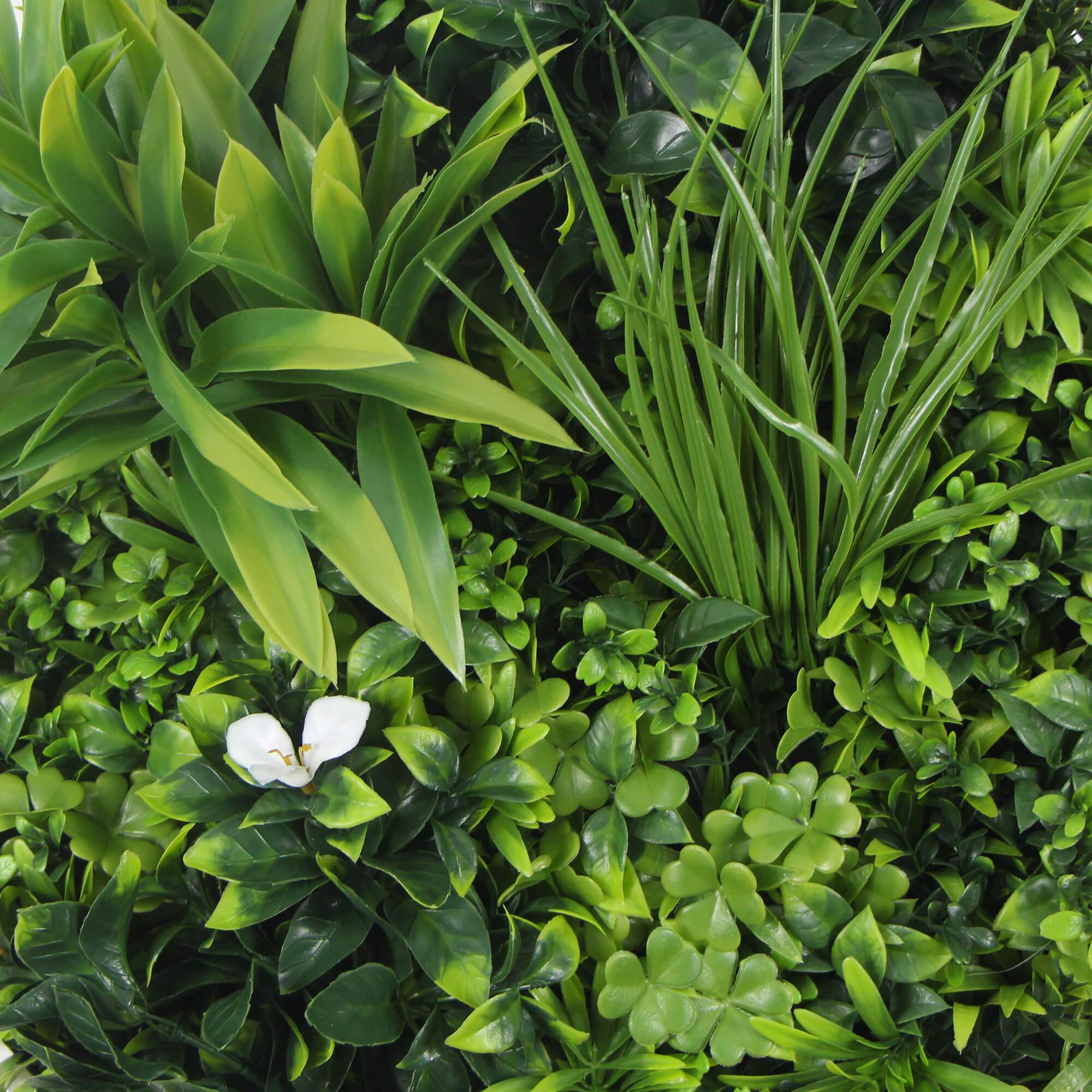 Flowering White Artificial Green Wall Disc UV Resistant 50cm (White Frame) - Designer Vertical Gardens artificial garden wall plants artificial green wall sydney