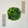 Load image into Gallery viewer, Flowering White Artificial Green Wall Disc UV Resistant 50cm (White Frame) - Designer Vertical Gardens artificial garden wall plants artificial green wall sydney