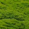Load image into Gallery viewer, Fresh Natural Green Artificial Moss Vertical Garden / Green Wall UV Resistant 1m x 1m - Designer Vertical Gardens artificial garden wall plants artificial green wall australia