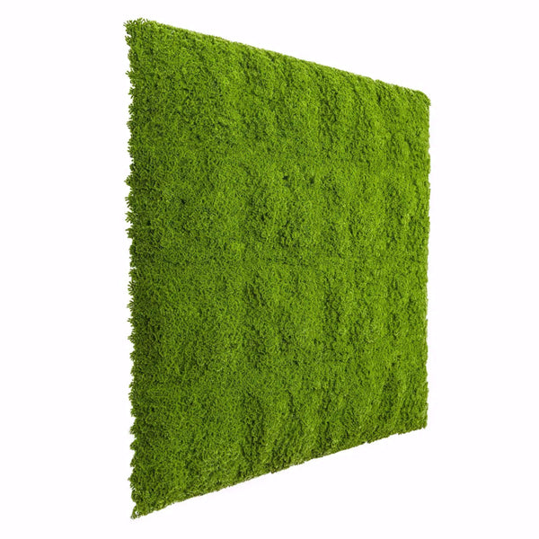 Fresh Natural Green Moss Wall 1m x 1m - UVTEX Certified UV Resistant