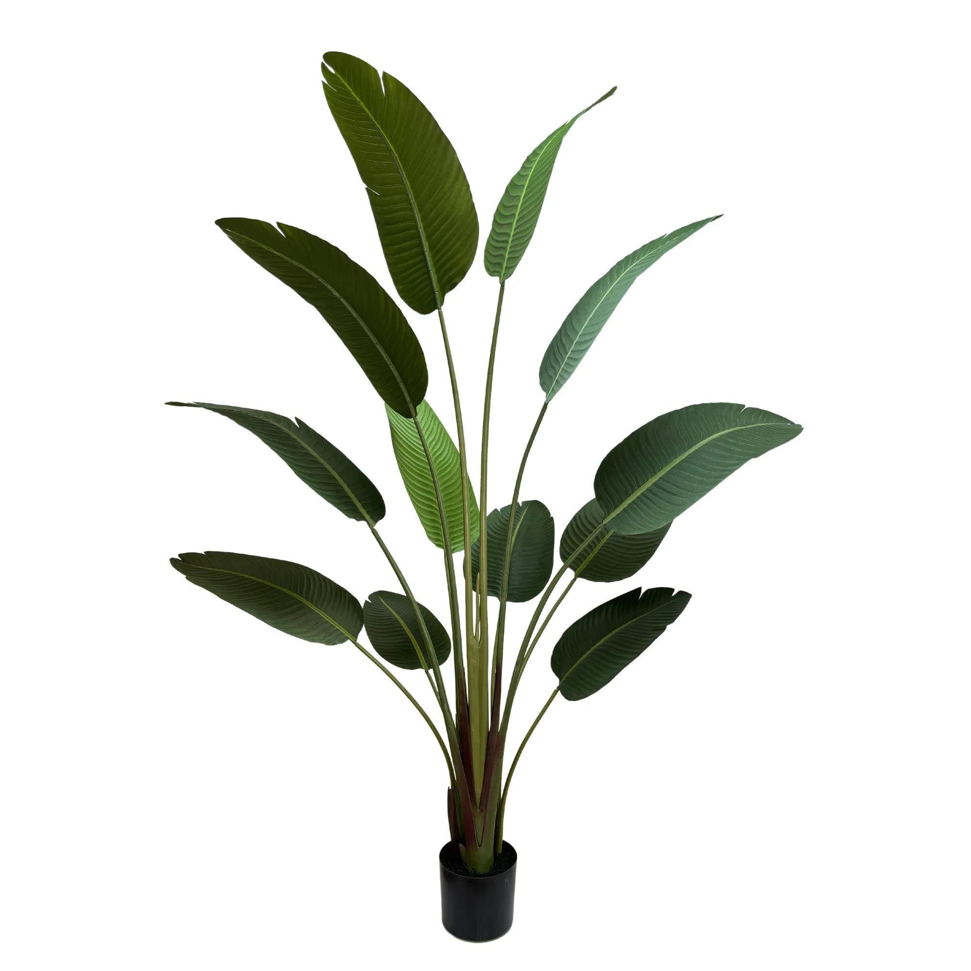 Grand Artificial Potted Travellers Palm (Banana Palm Tree) 160cm - Designer Vertical Gardens artificial shrubs Artificial Shrubs and Small plants
