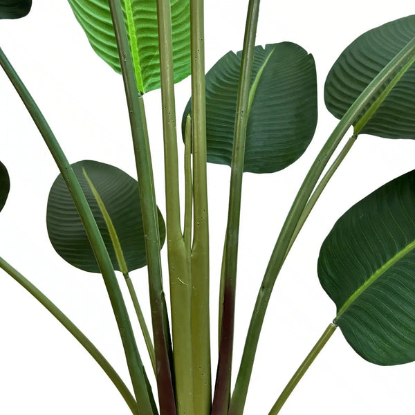 Grand Artificial Potted Travellers Palm (Banana Palm Tree) 160cm - image 5
