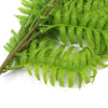 Hanging Fresh Green Boston Fern UV Resistant 80cm - Designer Vertical Gardens fake plant stem hanging garland