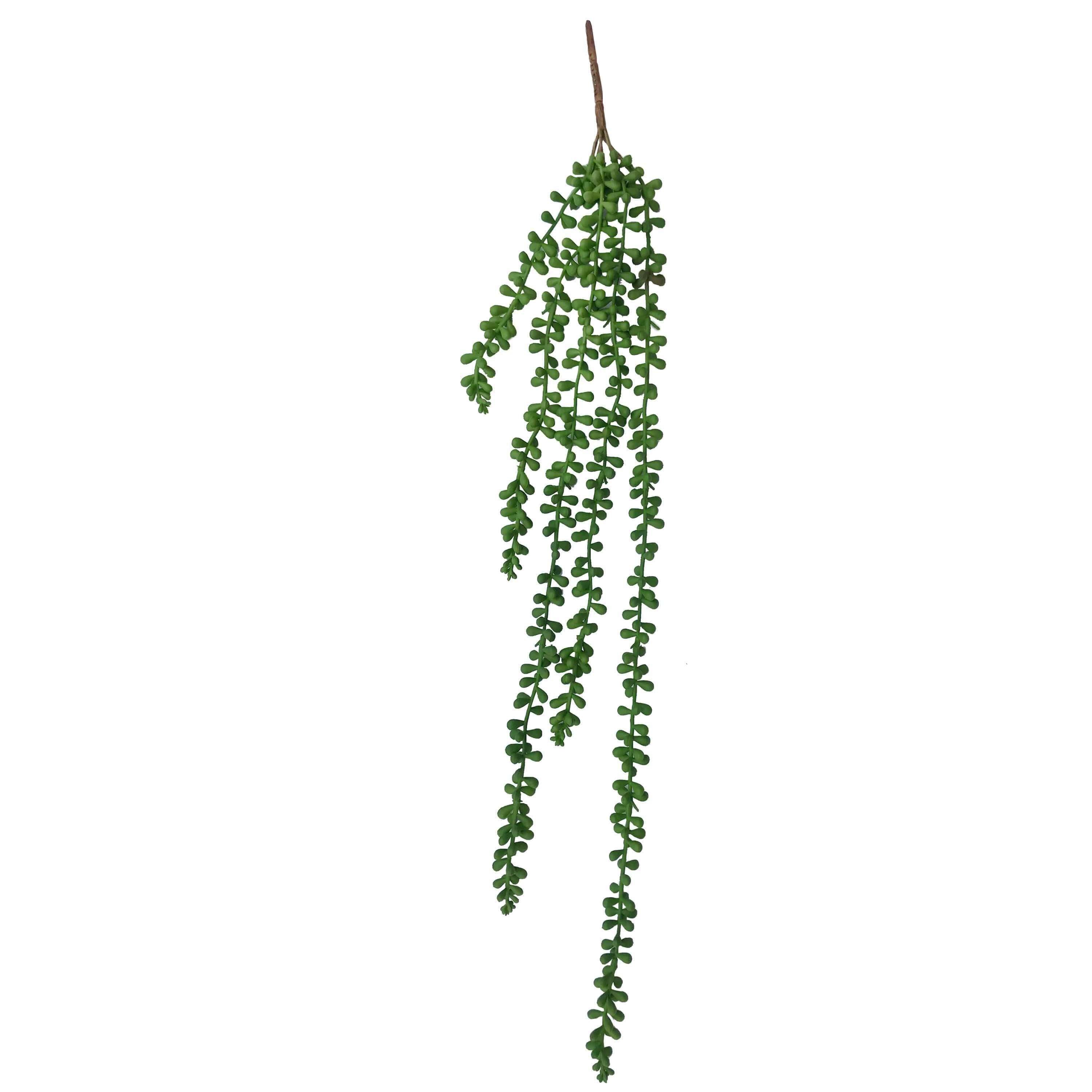 Hanging Succulent String of Pearl Beads 75cm - Designer Vertical Gardens artificial green wall sydney artificial vertical garden melbourne