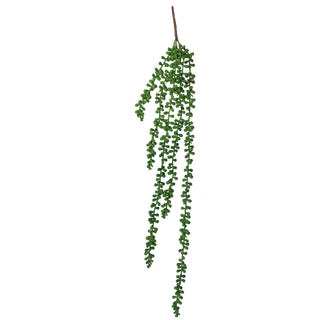 Hanging Succulent String of Pearl Beads 75cm