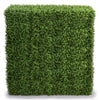 Portable Pittosporum Hedge 1.5m x 1.5m - UVTEX Certified UV Resistant