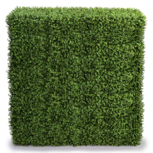 Portable Pittosporum Hedge 1.5m x 1.5m - UVTEX Certified UV Resistant - image 1