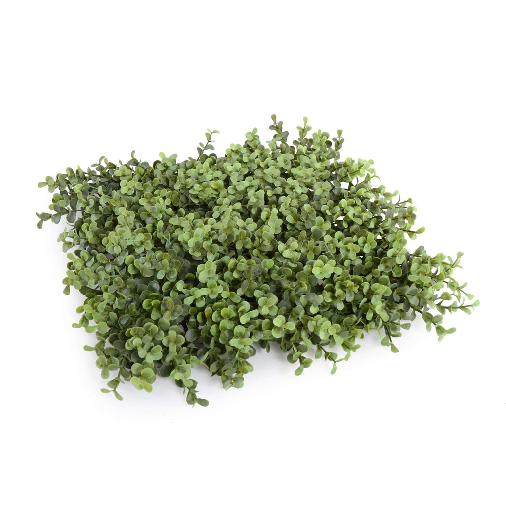 Portable Pittosporum Hedge 1.5m x 1.5m - UVTEX Certified UV Resistant — UV resistant artificial plant