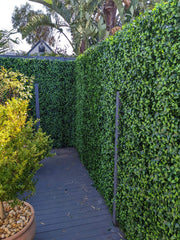 Jasmine Artificial Hedge Panel 100cm x 100cm - UVTEX Certified UV Resistant