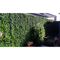 Jasmine Artificial Hedge Panel 100cm x 100cm - UVTEX Certified UV Resistant