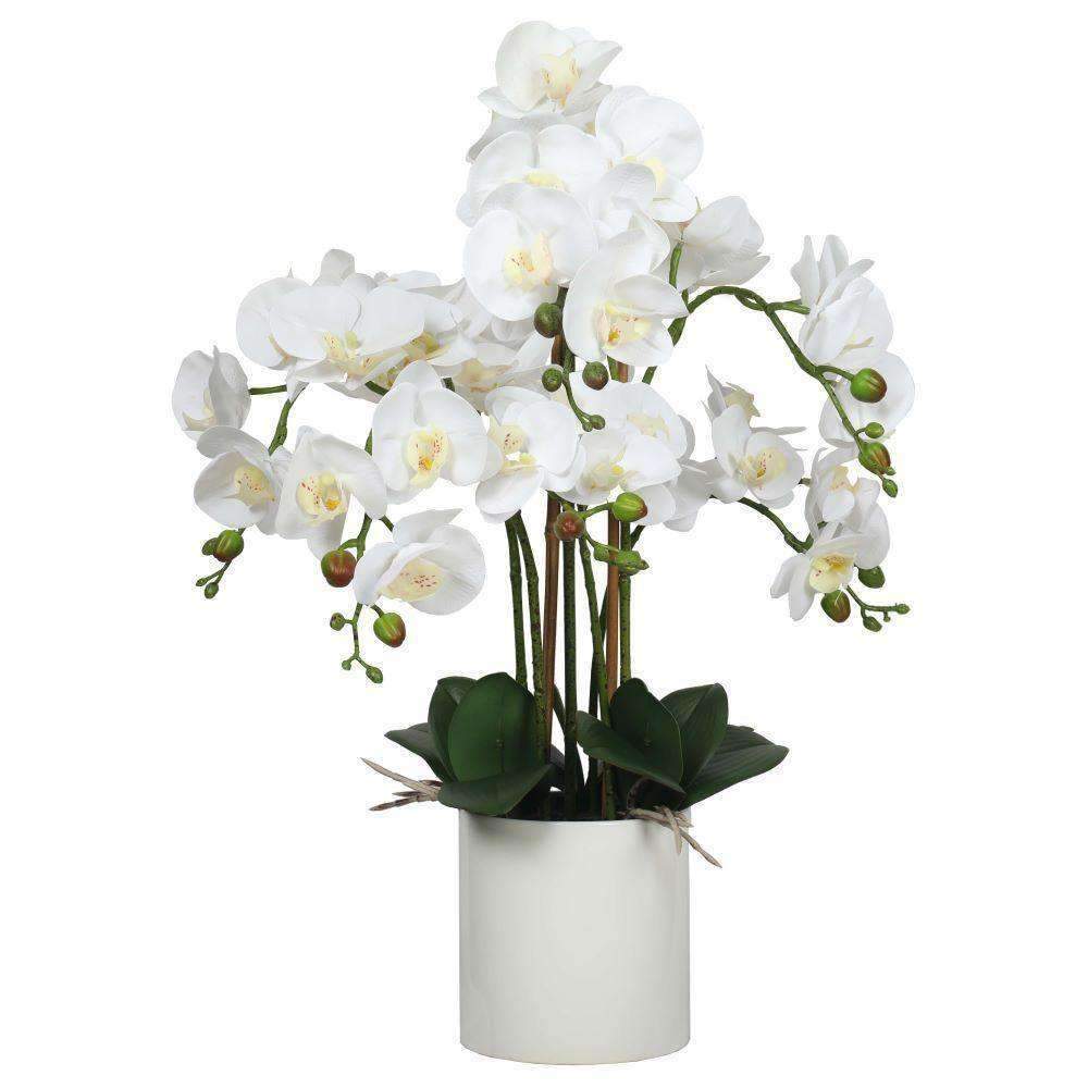 Large Multi-Stem White Potted Faux Orchid 65cm - Designer Vertical Gardens Flowering plants orchid