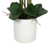 Load image into Gallery viewer, Large Multi-Stem White Potted Faux Orchid 65cm - Designer Vertical Gardens Flowering plants orchid