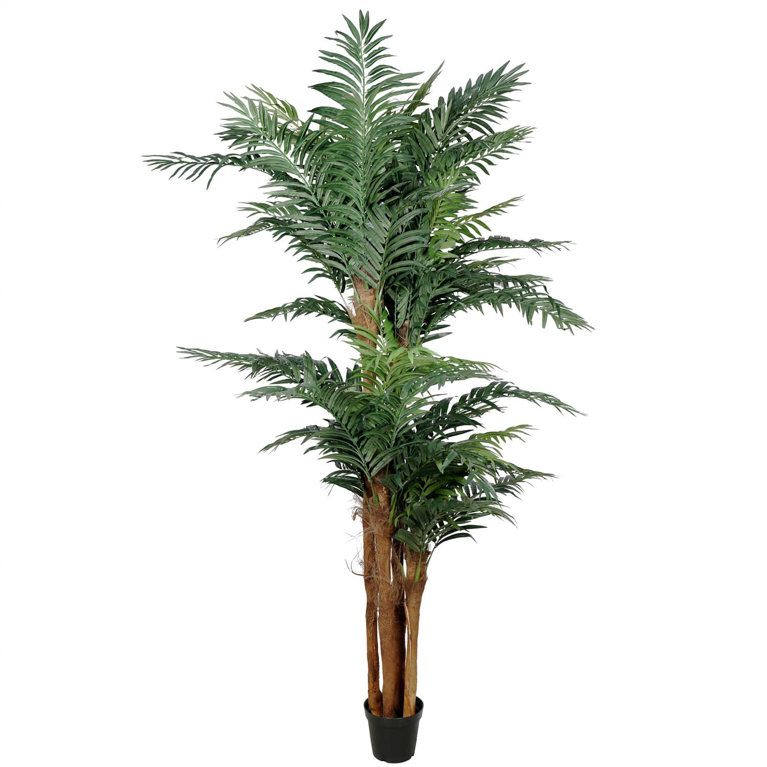 Large Rattan Palm Tree Large Tropical Palm Tree (Amazingly Real) 300 Tree | DVG – Designer ...