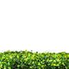 Light English Artificial Boxwood Hedge Panel / Fake Green Wall 1m x 1m UV Resistant - Designer Vertical Gardens artificial garden wall plants artificial green wall australia