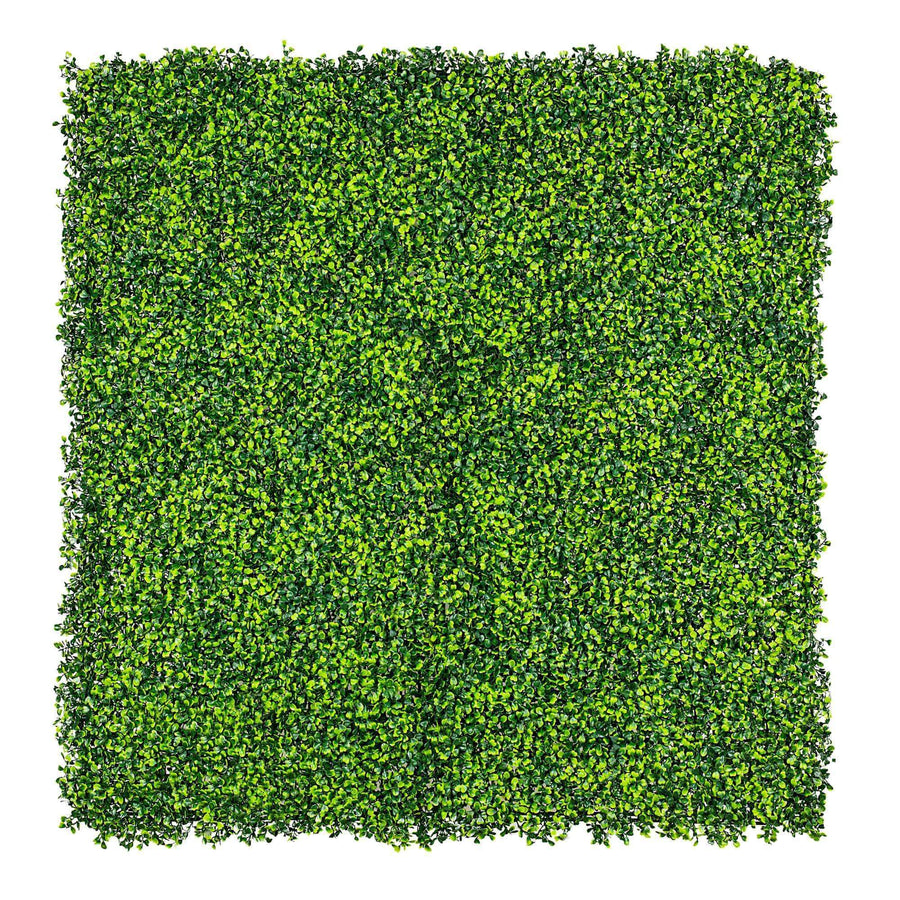 Light English Boxwood Hedge Panel 1m x 1m - UVTEX Certified UV Resistant