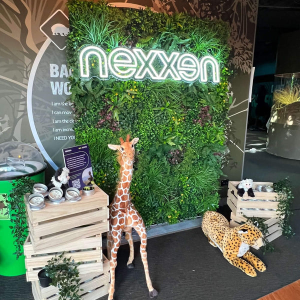 Luxury Country Fern Artificial Vertical Garden / Green Wall 100cm x 100cm UV Resistant - image 19