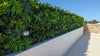 Luxury Hawaiian Sunrise Vertical Garden/Green Wall UV Resistant 1m X 1m - Designer Vertical Gardens artificial green walls for backdrops artificial green walls for balconies