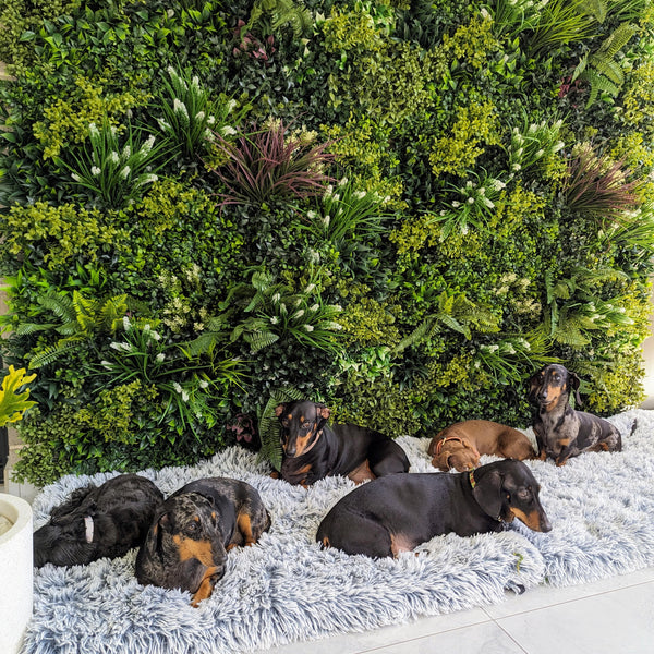 Lush Spring Vertical Garden 100cm x 100cm - UVTEX Certified UV Resistant - image 12