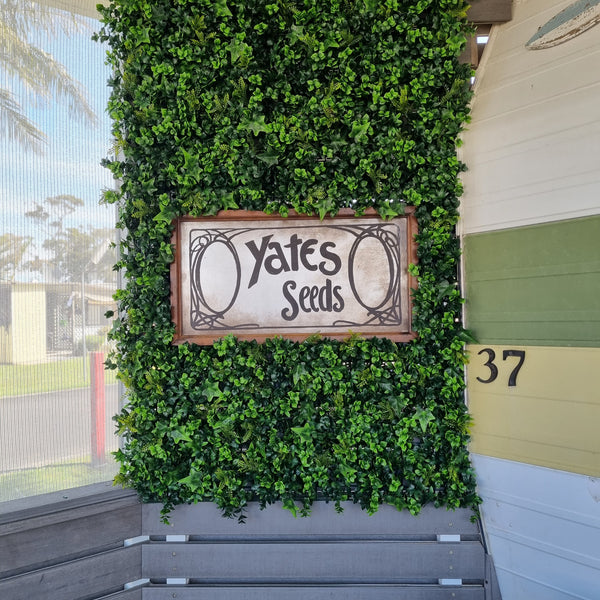 Mixed Ivy Artificial Hedge Panel 1m x 1m - UVTEX Certified UV Resistant - image 15