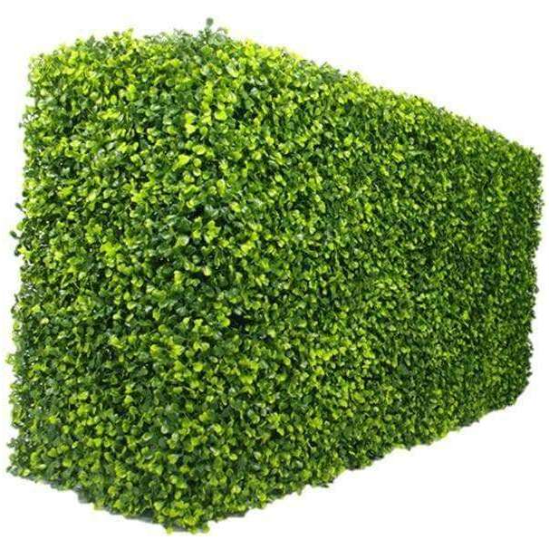Mixed English Boxwood Artificial Hedge UV Resistant 1m long x 50cm - Designer Vertical Gardens artificial garden wall plants artificial green wall australia