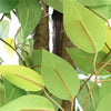 Mixed Green Bushy Artificial Ficus Tree 180cm - Designer Vertical Gardens artificial garden wall plants artificial green wall australia