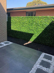 Mixed Ivy Artificial Hedge Panel 1m x 1m - UVTEX Certified UV Resistant