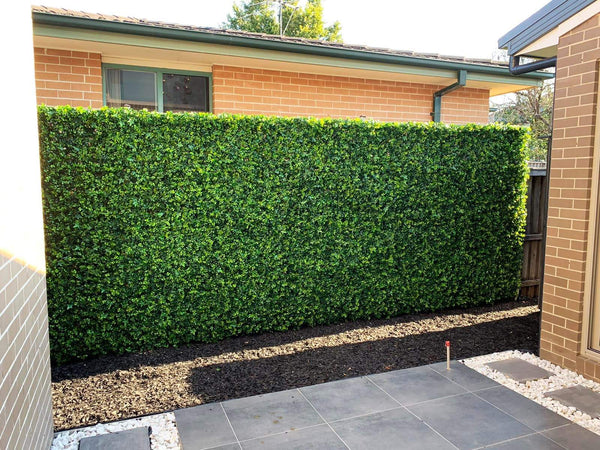 Mixed Ivy Artificial Hedge Panel 1m x 1m - UVTEX Certified UV Resistant