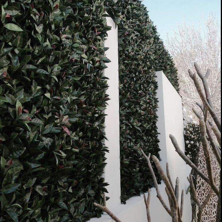 Photinia Artificial Hedge Panel / Fake Vertical Garden 1m x 1m UV Resistant - Designer Vertical Gardens artificial garden wall plants artificial green wall australia