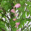 Pink Flowering Artificial Wisteria 180cm - Designer Vertical Gardens artificial vertical garden melbourne artificial vertical garden plants