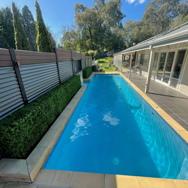 Portable Buxus Hedge 75cm x 75cm - UVTEX Certified UV Resistant - image 4