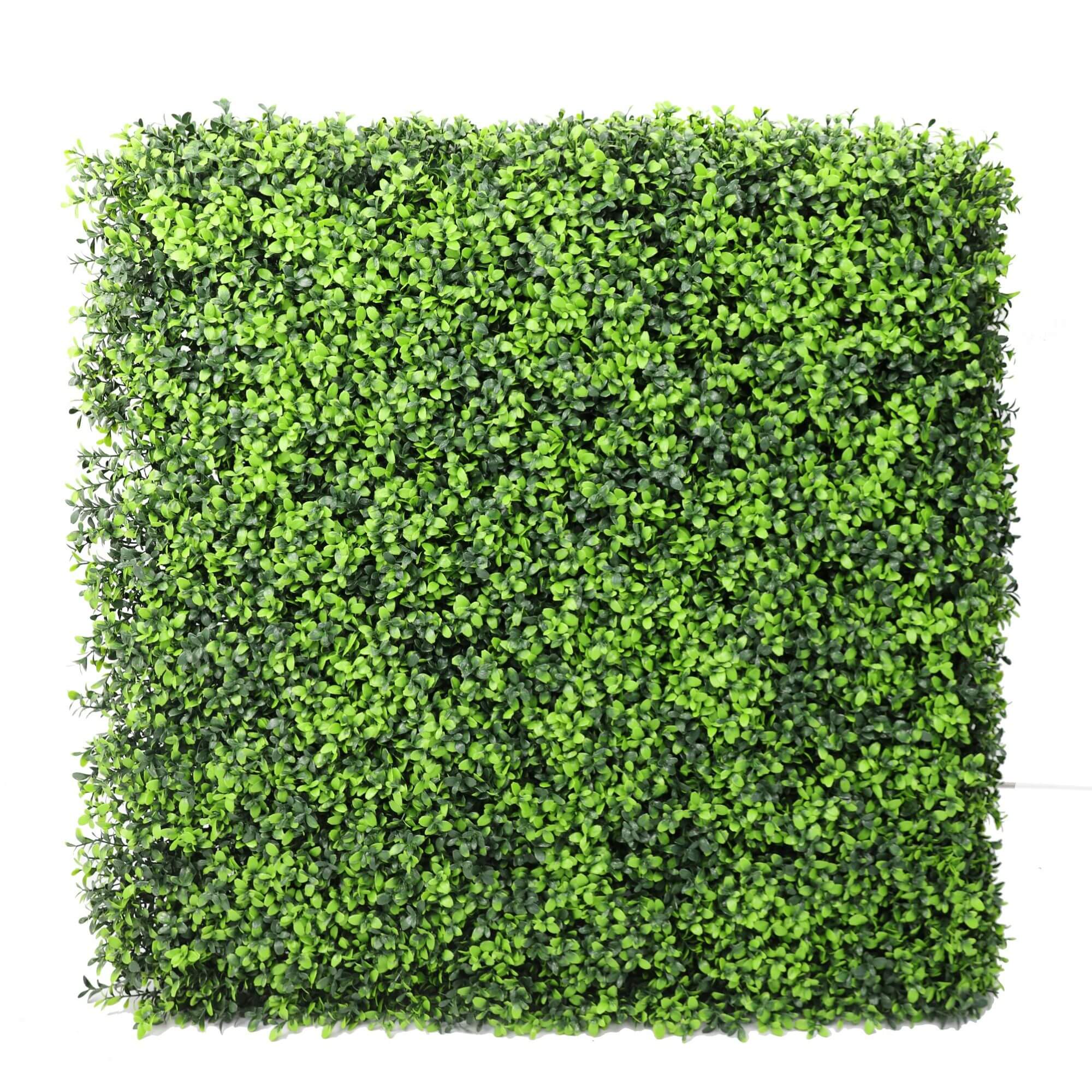 Portable Buxus Artificial Hedge UV Resistant 75cm x 75cm - Designer Vertical Gardens artificial garden wall plants artificial green wall australia