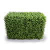 Portable Pittosporum Hedge 1m x 50cm - UVTEX Certified UV Resistant