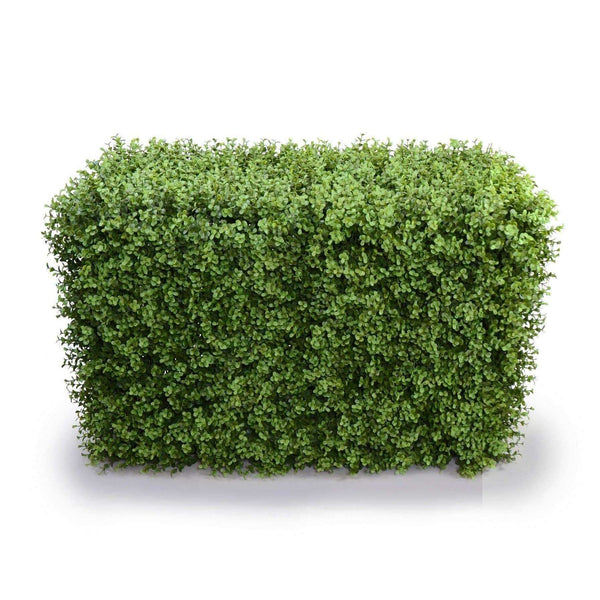 Portable Pittosporum Hedge 1m x 50cm - UVTEX Certified UV Resistant - image 1