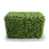 Portable Pittosporum Artificial Hedge UV Resistant 1m long x 50cm high - Designer Vertical Gardens artificial garden wall plants artificial green wall australia