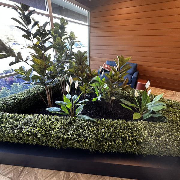 Portable Pittosporum Hedge 1m x 50cm - UVTEX Certified UV Resistant - image 4