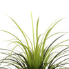 Potted Artificial Long Grass (Yucca Grass) 115cm UV Resistant  - Designer Vertical Gardens Dracena & Artificial Yucca