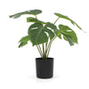 Potted Artificial Split Philodendron Plant With Real Touch Leaves 40cm - Designer Vertical Gardens Artificial Shrubs and Small plants