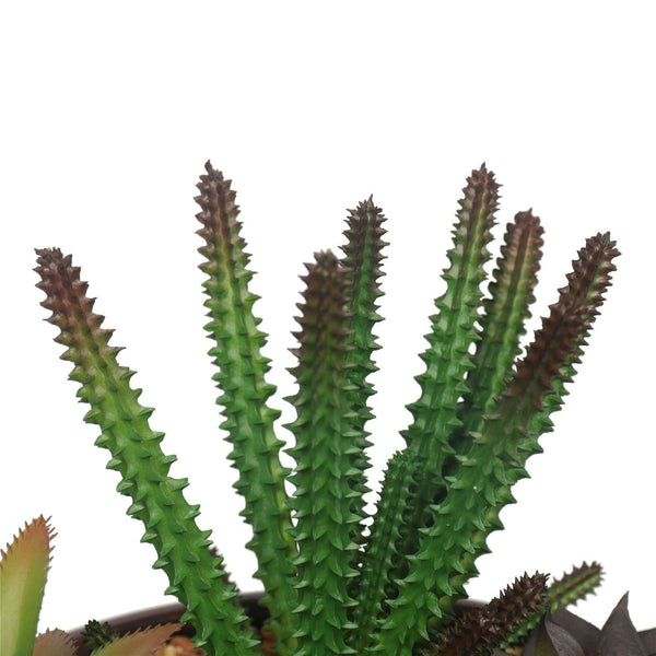 Potted Artificial Succulents with Round Decorative Bowl 19cm - image 2