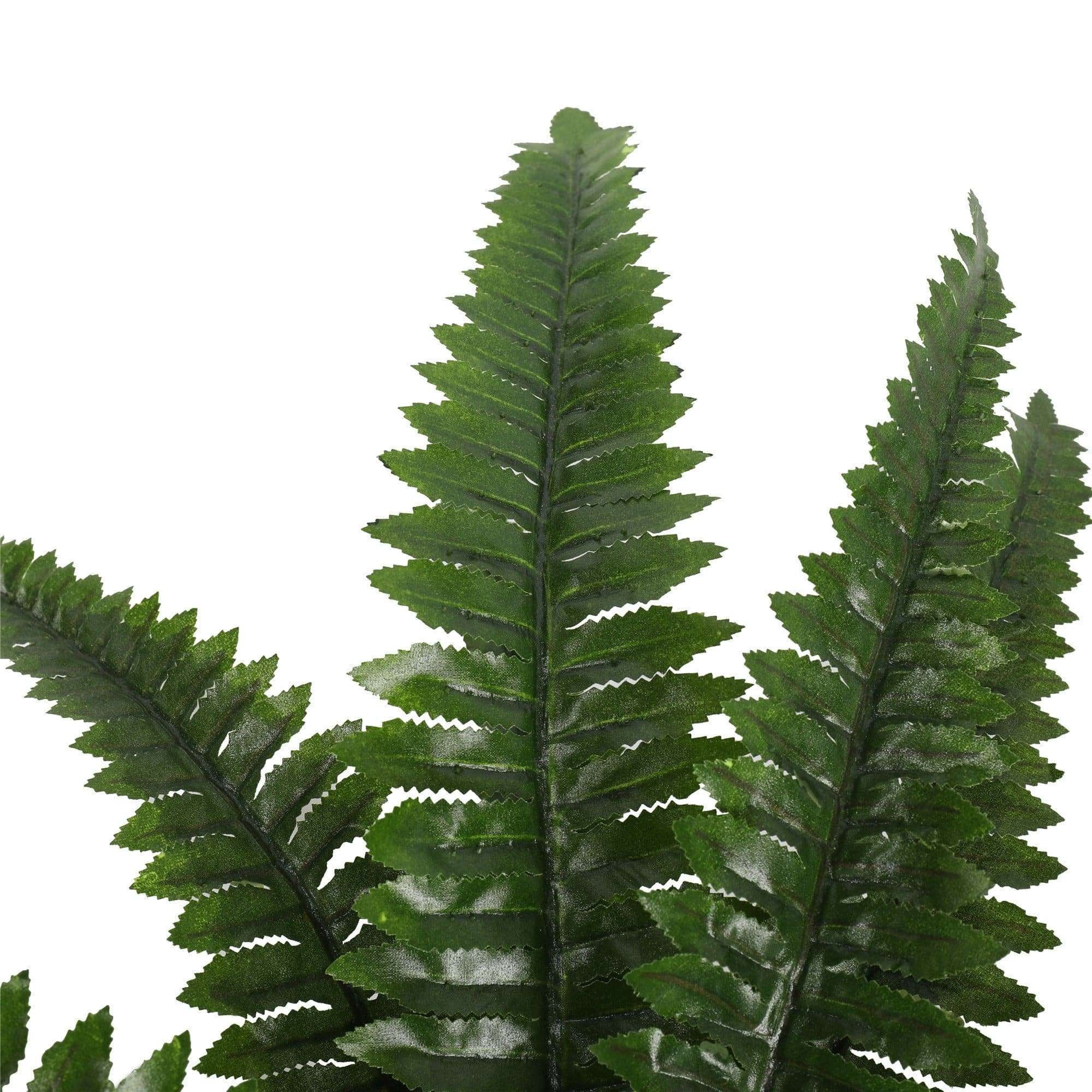 Potted Natural Green Artificial Boston Fern (50cm high 70cm wide) - Designer Vertical Gardens Artificial Shrubs and Small plants Office and House plants