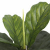 Premium Artificial Fiddle Leaf Fig UV Resistant 140cm - Designer Vertical Gardens Artificial tree Fiddle fig