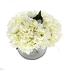 Load image into Gallery viewer, Premium Faux Hydrangea With Glass Vase (Artificial Flowering White Hydrangea) 23cm - Designer Vertical Gardens Flowering plants