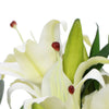 Premium Faux White Lily In Glass Vase (Tiger Lily Bouquet With Eucalyptus) - Designer Vertical Gardens Flowering plants